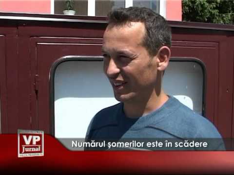 Numărul şomerilor este în scădere