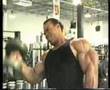 KAVIN-LEVRONE-BICIPS