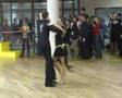 videos de Cha-cha-cha