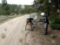 Lance baffled by flat tire at the 2009 Leadville 100.