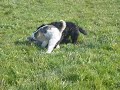 Cliquez pour voir la vid�o