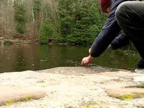 Flyfishing Rainbow Trout Black ...