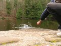 Flyfishing Rainbow Trout Black Stonefly bwo hatch dryfly bow