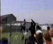 ANIMAL LIBERATION FRONT VIDEO