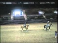 danielle western reining 2010.mpg
