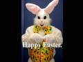 The Bunny.