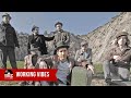 Working Vibes Io Vorrei Video and Lyrics