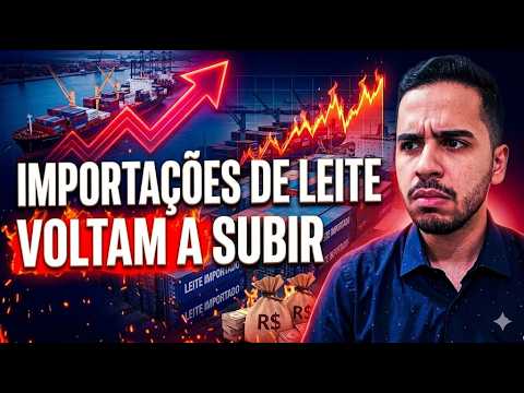 Importações de leite voltam a subir em maio e preocupa produtores.