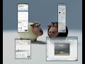 Beryl - Organise Multiple Windows
