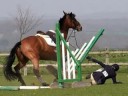 RIDING :: HARDER THAN IT LOOKS!