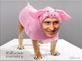 VYMĚŇTE POLITIKY