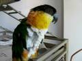 videos de JoJo bops her head