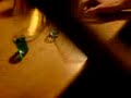 Plewik chlast absinth Plewik chlast absinth