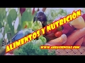 ALIMENTOS Y NUTRICION