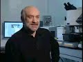Celule stem Olimpiq Stemxcell
