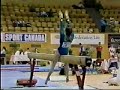 1991-gymnastics-jackie-bender-balance-beam.html