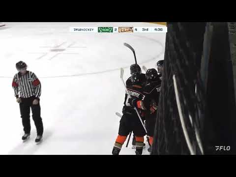 Hustle Goal vs Nelson Nov 29