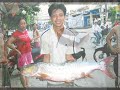 Funny fishing,fishing funny,hanoi fishing style