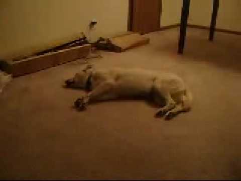 See video