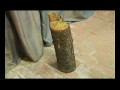 IL GATTO E LA VOLPE - Trailer