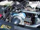 SENCMC All Ford Show - Panthers