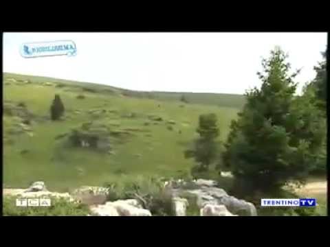 Video Nuove star TV