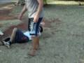 videos de super lesion