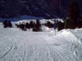 videos de border cross