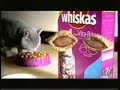 kedi ve fare
