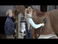 How To Vacuum Groom A Horse Using The Backpack Groom/n/vac