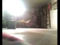 videos de switch disco flip