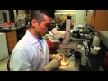 University of Dayton - Groundbreaking discovery in tissue regeneration