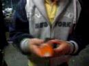haller 2007 haller 2007