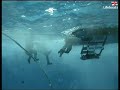RNLI: Sea Survival Pool