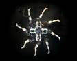 Peter William Holden Presents Arabesque a kaleidoscopic kinetic sculpture