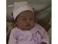 videos de Animacion Flor