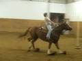 Loping Poles on Ellie Mae