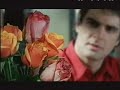 Ibis Hotels ad