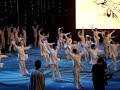 4th Wushu Sanshou World Cup Abertura apres. Tai Chi.