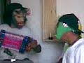 estupideses