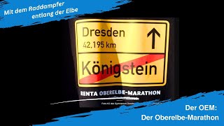 Oberelbe-Marathon: Warum dieser Lauf von Königstein nach Dresden begeistert!