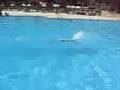 beautiful-swimming 2