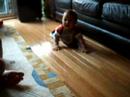Ryan is crawling backwards at 8 months old