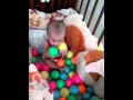 yen vy DINH NGOC YEN VY(1) - YouTube