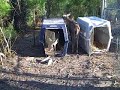 PAWS, Inc Welcome to six new deer PAWS, Inc Welcome to six new deer