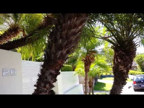 how to fertilize pygmy date palm