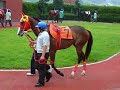 今からお聞き頂きますのは、緑に囲まれた美しい競馬場として、皆様方に親しんで頂いております、佐賀競馬場のイメージソング、「It's A Green Dream」です。どうぞお聞きください！