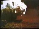 The VHS Show - ALIENATOR
