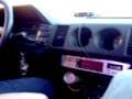 videos de z31