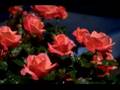 UNA LINDA HISTORIA: EL RAMO DE FLORES